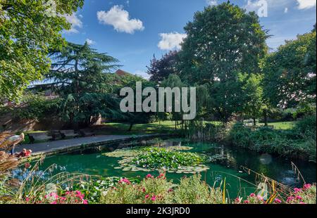Teich in den Jubilee Gardens, Bewdley, Worcestershire Stockfoto
