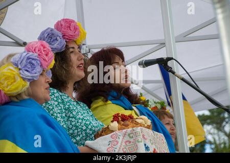 Kulturnacht in Bantry Stockfoto