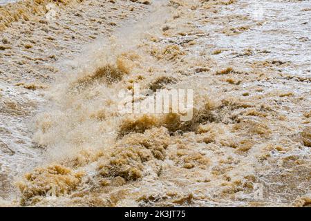 Stromschnellen auf dem Fluss von schlammigen Wasserströmen, die nach starkem Regen fließen und plantschen. Stockfoto