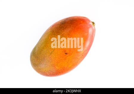Mangofrucht auf weißem Hintergrund Stockfoto