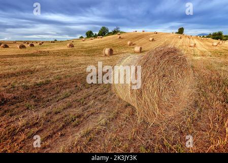 Panoramablick auf Heuballen auf geerntetem Weizenfeld in der Provence, Südfrankreich, vor dramatischem Sommerhimmel Stockfoto