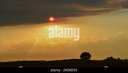 Pampas Sonnenuntergang , in der Provinz La Pampa Patagonien Argentinien. Stockfoto