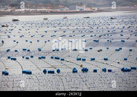 NINGDE, CHIAN - 23. SEPTEMBER 2022 - in Ningde City, Provinz Fujian, China, arbeiten Aquakulturarbeiter am 23. September 2022. Stockfoto