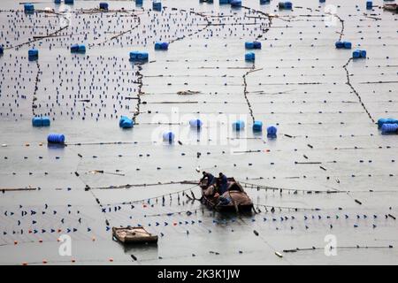 NINGDE, CHIAN - 23. SEPTEMBER 2022 - in Ningde City, Provinz Fujian, China, arbeiten Aquakulturarbeiter am 23. September 2022. Stockfoto