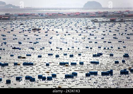 NINGDE, CHIAN - 23. SEPTEMBER 2022 - in Ningde City, Provinz Fujian, China, arbeiten Aquakulturarbeiter am 23. September 2022. Stockfoto