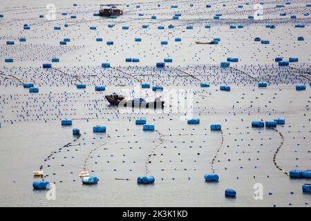 NINGDE, CHIAN - 23. SEPTEMBER 2022 - in Ningde City, Provinz Fujian, China, arbeiten Aquakulturarbeiter am 23. September 2022. Stockfoto