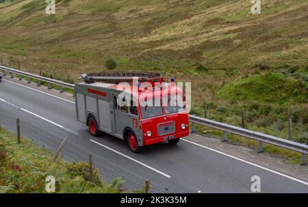 Ein original alter Bedford-Vormotor, der 1968 für die Aberdyfi-Feuerwache gekauft wurde, ist wieder auf der Straße und hat einige Restaurierungen. Stockfoto