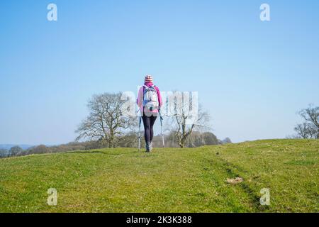 Rückansicht einer Wandererin, die mit Wanderstöcken über einen Hügel läuft. Stockfoto