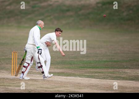 Cricket Bowling & Schlägen Herrenspiel Stockfoto