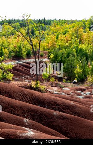 Cheltenham Badlands Caledon Ontario Kanada Stockfoto