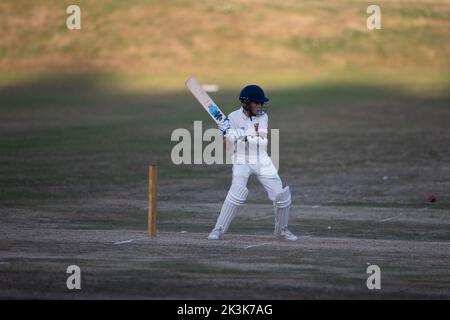 Cricket Bowling & Schlägen Herrenspiel Stockfoto