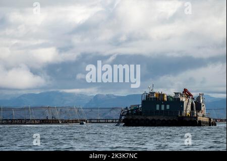 September 2022: Isle of Canna, Inner Hebrides, Scotland Salmon Farm Stockfoto