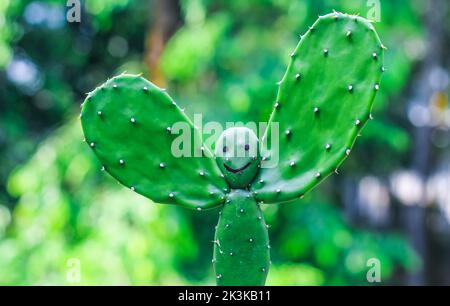 Ein seltenes Bild der Kaktuspflanze. Menschengeformte Kaktuspflanze mit grünem Bokeh-Hintergrund. Speicherplatz kopieren. Stockfoto