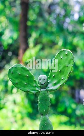 Ein seltenes Bild der Kaktuspflanze. Menschengeformte Kaktuspflanze mit grünem Bokeh-Hintergrund. Speicherplatz kopieren. Stockfoto