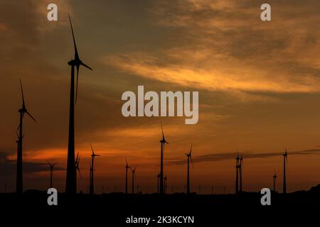 Silhouetten von Windenergieanlagen, die bei Sonnenuntergang erneuerbare Energie erzeugen Stockfoto