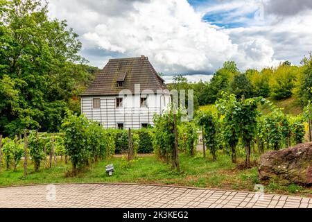 Spazieren Sie durch die Parks von Bad Sulza - Thüringen - Deutschland Stockfoto