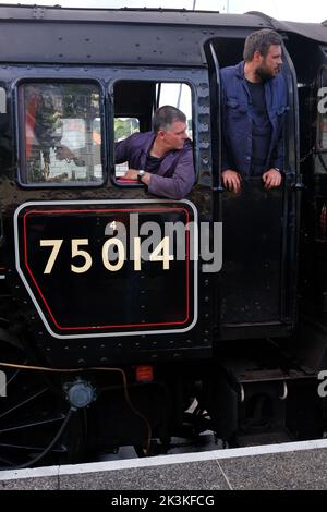 75014 Dampfzug, der in die Kingswear Station fährt Stockfoto