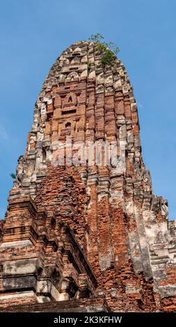 Der Wat Phra RAM, Tempel in Phra Nakhon Si Ayutthaya, Thailand Stockfoto