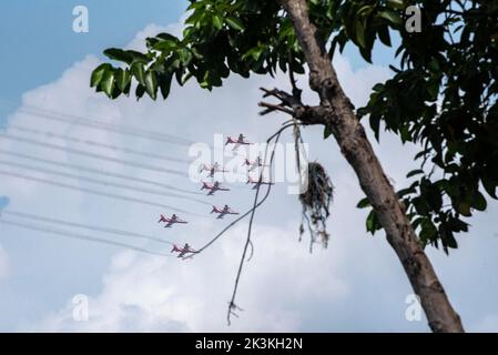 GUWAHATI, INDIEN - 27. SEPTEMBER: Das Suryakiran-Kunstflugteam der indischen Luftwaffe (IAF) tritt während einer Flugshow auf, als es am 27. September 2022 in Guwahati, Indien, Azadi Ka Amrit Mahotsav feiert, das 75 Jahre Unabhängigkeit Indiens feiert. Das berühmte Suryakiran Aerobatic Display Team der indischen Luftwaffe, im Volksmund bekannt als SKAT, eines der wenigen 9 Flugzeugaerobatic Teams der Welt. Quelle: David Talukdar/Alamy Live News Stockfoto