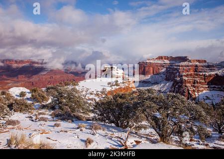 Winterschnee am Shafer Canyon Overlook in the Island im Sky District des Canyonlands National Park, Utah. Stockfoto