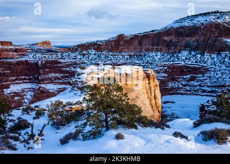 Winterschnee am Shafer Canyon Overlook in the Island im Sky District des Canyonlands National Park, Utah. Stockfoto