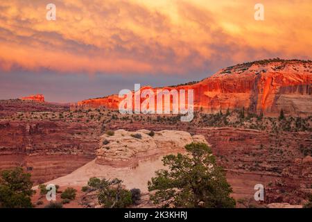 Farbenfrohe Sonnenuntergangswolken über dem Shafer Canyon überblicken die Insel im Sky District, Canyonlands National Park, Utah. Stockfoto