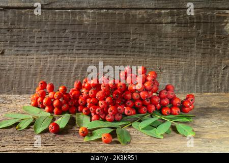 Ein paar rote Beeren auf einem Holztisch. Essen auf dunklem Hintergrund. Herbsternte Stockfoto
