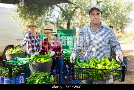 Porträt einer positiven Bäuerin, die auf dem Bauernhof eine Schachtel grüner Paprika in den Händen hält Stockfoto