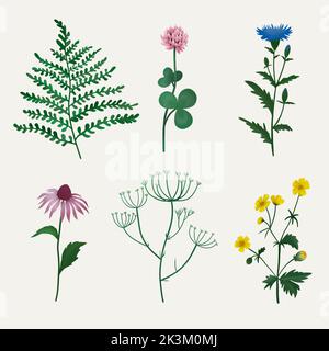 Schöne Blumenarrangements mit Aquarell handgezeichneten Sommer wilden Feld Blumen. Abbildung des Bestandes. Clip Art. Botanische bunte handgezeichnete Illustration. Stockfoto