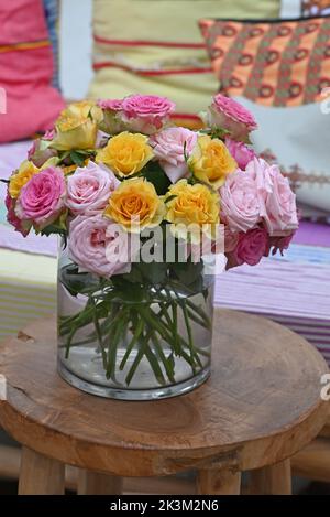 Rosen in einer Vielzahl von gemischten Farben. Stockfoto