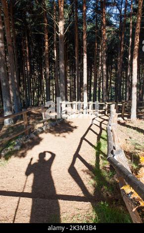 Der Waldgeländer von La Garganta aus Holz. Trekker Schatten sichtbar. Er benutzt seine Hand als Visier. Extremadura, Spanien Stockfoto