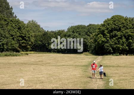 Paar, die über Newly Mown Castle Meadows, Abergavenny, Wales, Großbritannien, laufen Stockfoto