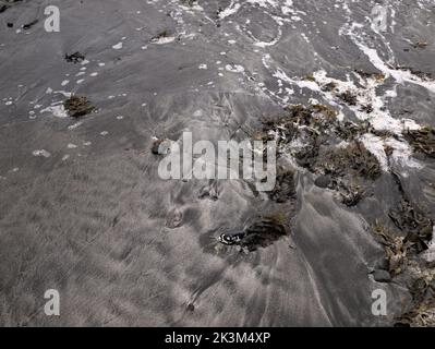 Schwarzer Sandstrand in der Nähe des Campingplatzes Glen Spröde, Loch Spröde, Isle of Skye, Schottland. Stockfoto