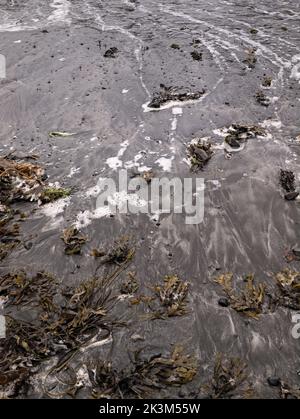 Schwarzer Sandstrand in der Nähe des Campingplatzes Glen Spröde, Loch Spröde, Isle of Skye, Schottland. Stockfoto