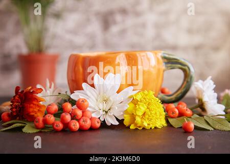 Ästhetisch umweltfreundliche nachhaltige Teatime mit Tasse in kreativer Form aus Kürbis. Herbsthintergrund zwischen Vogelbeeren, Eicheln, Ringelblume, Chrysantheme auf schwarzem Hintergrund Stockfoto