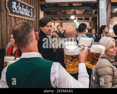 Der Kellner trägt mehrere Becher Bier. Service im Bierzelt auf dem Oktoberfest München. Barkeeper bringen den Gästen oft riesige Mengen Bier mit Stockfoto