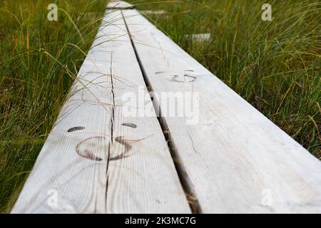 Auf einem Boardwalk-Pfad im Salamajärvi-Nationalpark in Finnland drucken finnische Rentierhufe aus dem finnischen Wald Stockfoto