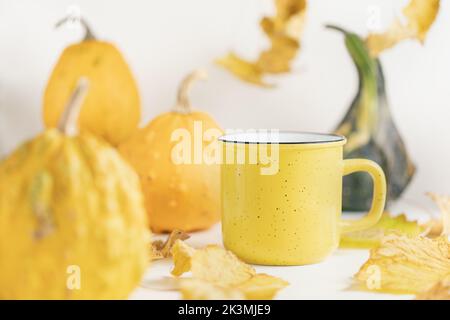 Kleine gelbe, orange, grüne dekorative Kürbisse, Blätter und leere Tasse auf weißem Hintergrund. Herbstsaison, Halloween und Weihnachten und Trinken heiße Getränke Konzept Stockfoto