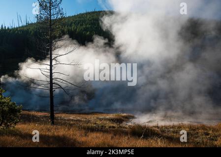 Thermalbäder und Quellen, die durch Druck und vulkanische Aktivität entstehen, sind entlang der landschaftlich reizvollen Fahrten im Yellowstone National Park verbreitet. Stockfoto