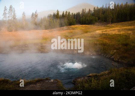 Thermalbäder und Quellen, die durch Druck und vulkanische Aktivität entstehen, sind entlang der landschaftlich reizvollen Fahrten im Yellowstone National Park verbreitet. Stockfoto