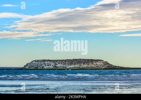 Naturschutzgebiet Puerto Madryn.unesco-Weltkulturerbe Stockfoto