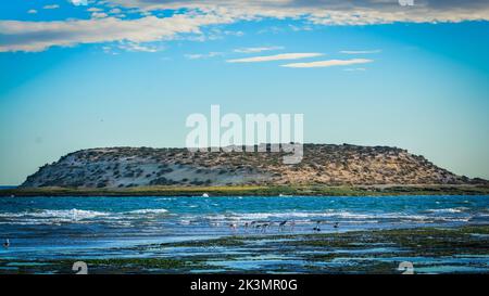 Naturschutzgebiet Puerto Madryn.unesco-Weltkulturerbe Stockfoto