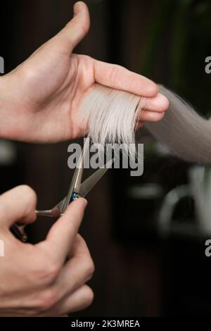 Die junge Frau in einem Friseursalon färbt ihre Haare blond und schneidet Haare Stockfoto