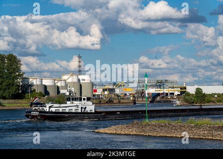 Duisburger Häfen, Tanklager der Oiltanking Deutschland GmbH, Großtanks für Kraftstoffe und Pflanzenöle, auf dem Rhein, Tanker, Duisburg, NRW, Deutschland Stockfoto