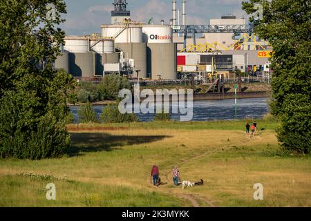 Rheinwiesen Duisburg-Rheinhausen, im Hintergrund der Parallelhafen, Außenhafen, NRW, Deutschland, Stockfoto