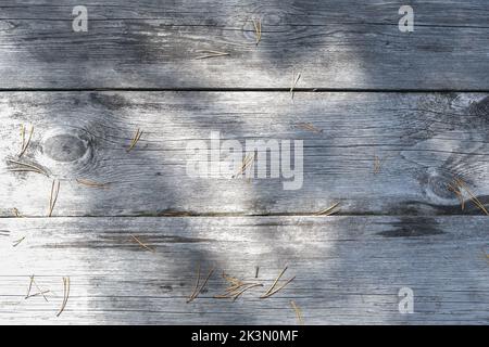 Die Textur eines alten Zauns mit einem Schatten. Holzstruktur mit horizontalen Linien. Die Textur von Holz mit Ästen und Löchern. Die Textur eines Baumes mit Moos. Stockfoto