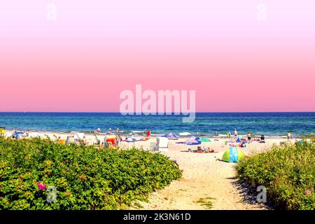 Strand in Maasholm, Schleswig-Holstein, Deutschland Stockfoto