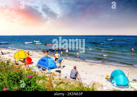 Strand in Maasholm, Schleswig-Holstein, Deutschland Stockfoto