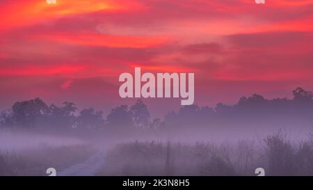 Eine neblige Morgendämmerung im Jim Corbett National Park Grasland mit brillanten bunten Himmel vor Sonnenaufgang Stockfoto