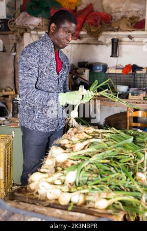 afroamerikanischer Mann schält Zwiebeln auf einer Farm Stockfoto